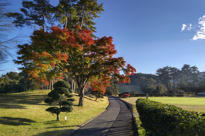 飯田カントリー倶楽部 画像8