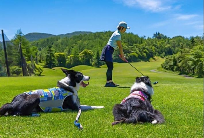 清里アーリーバードゴルフクラブ 画像6