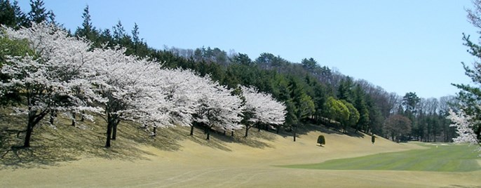 甲斐ヒルズカントリー倶楽部 画像5