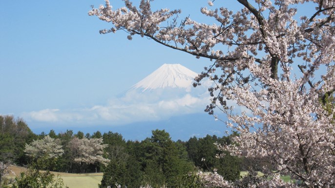 伊豆国際カントリークラブ【アコーディア】 画像1
