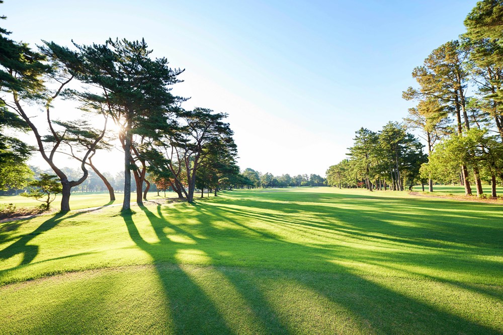 静岡カントリー島田ゴルフコース 画像2