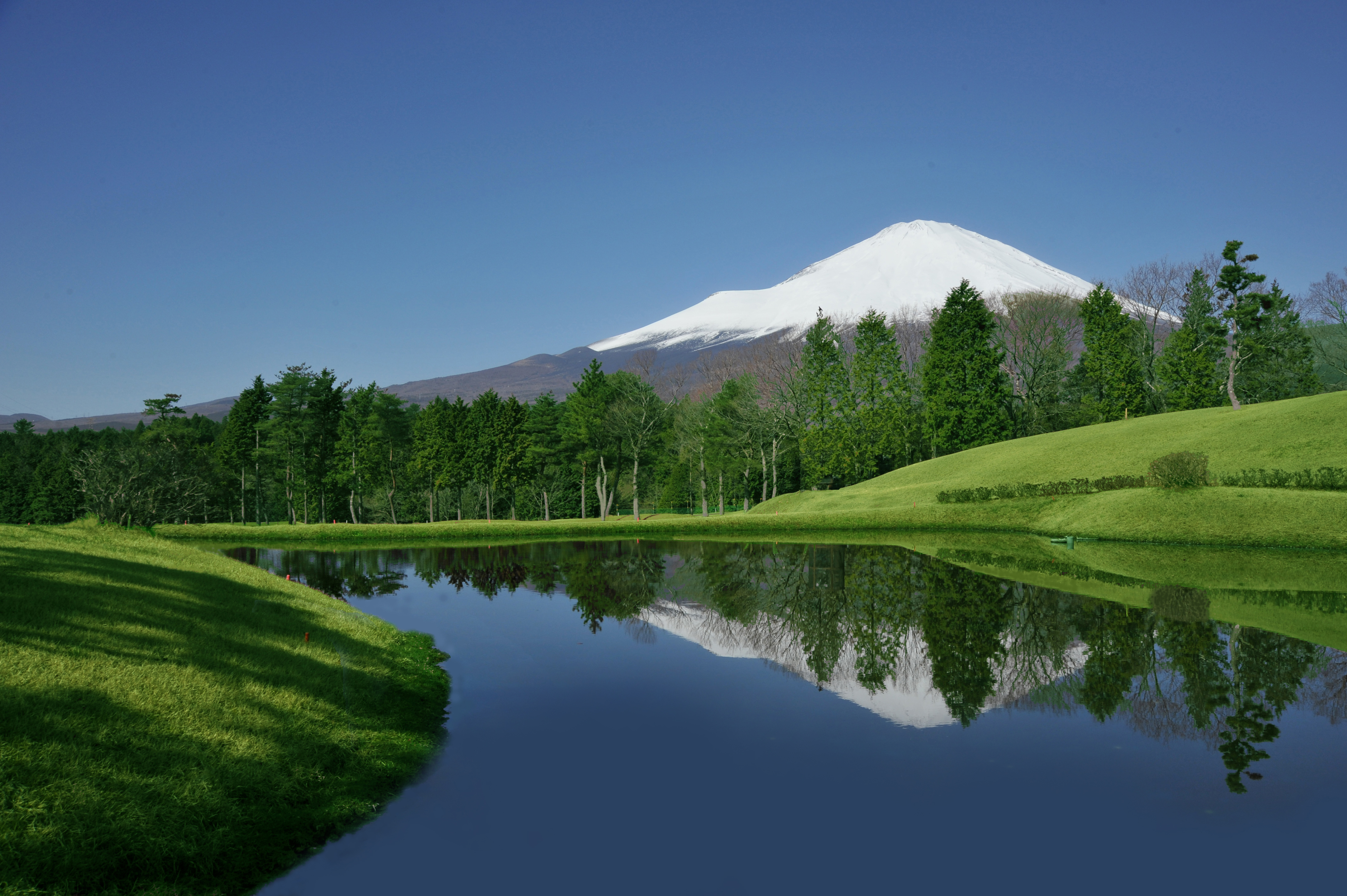 当時のメディア報道・掲載写真