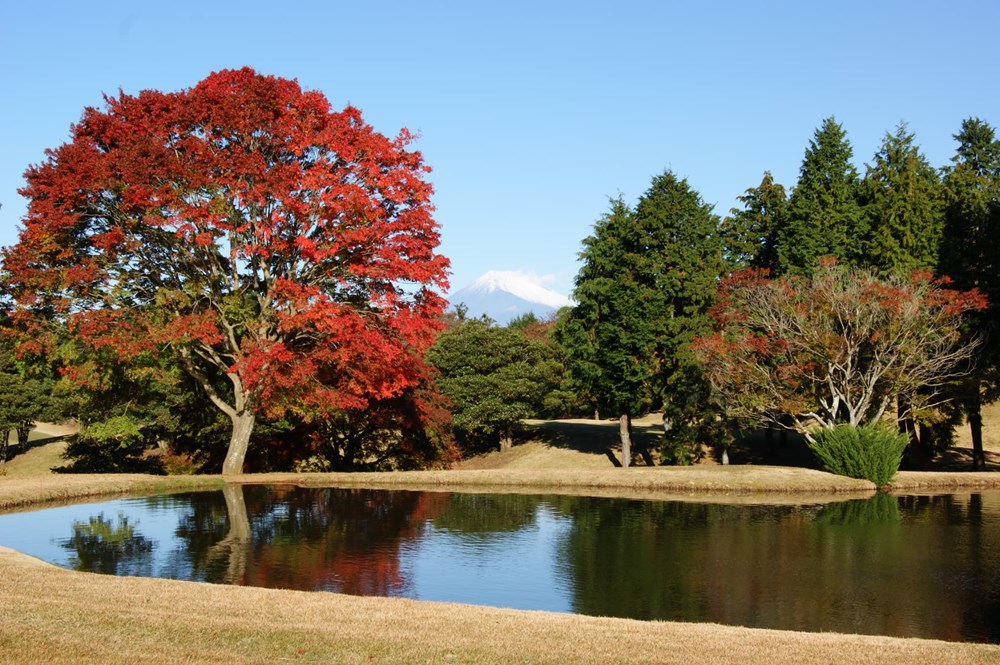 富士箱根カントリークラブ 画像2