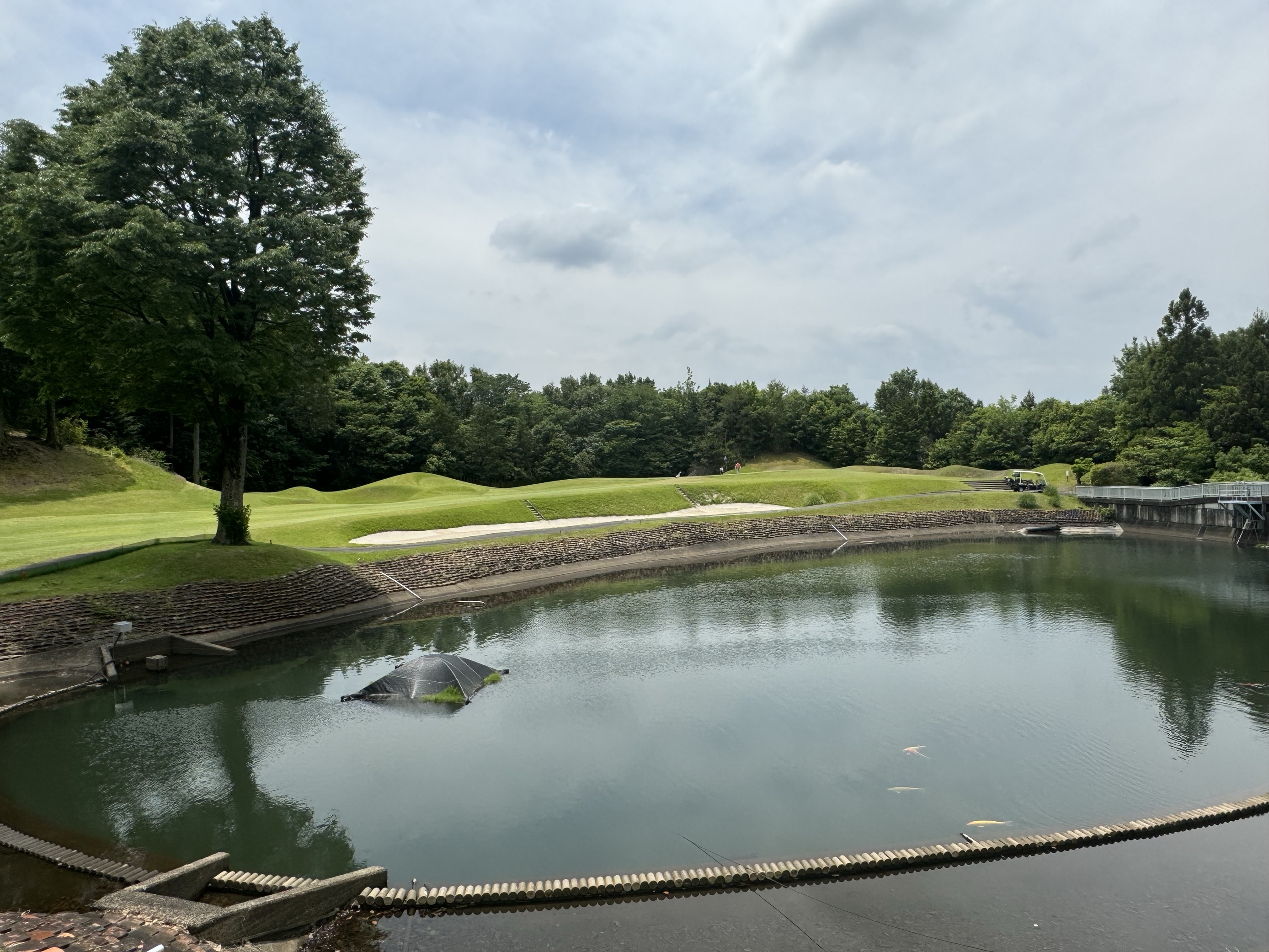 TOSHIN GC Central （トーシンGCセントラル） Courseを予約する｜ゴルフ場予約なら【GDO】