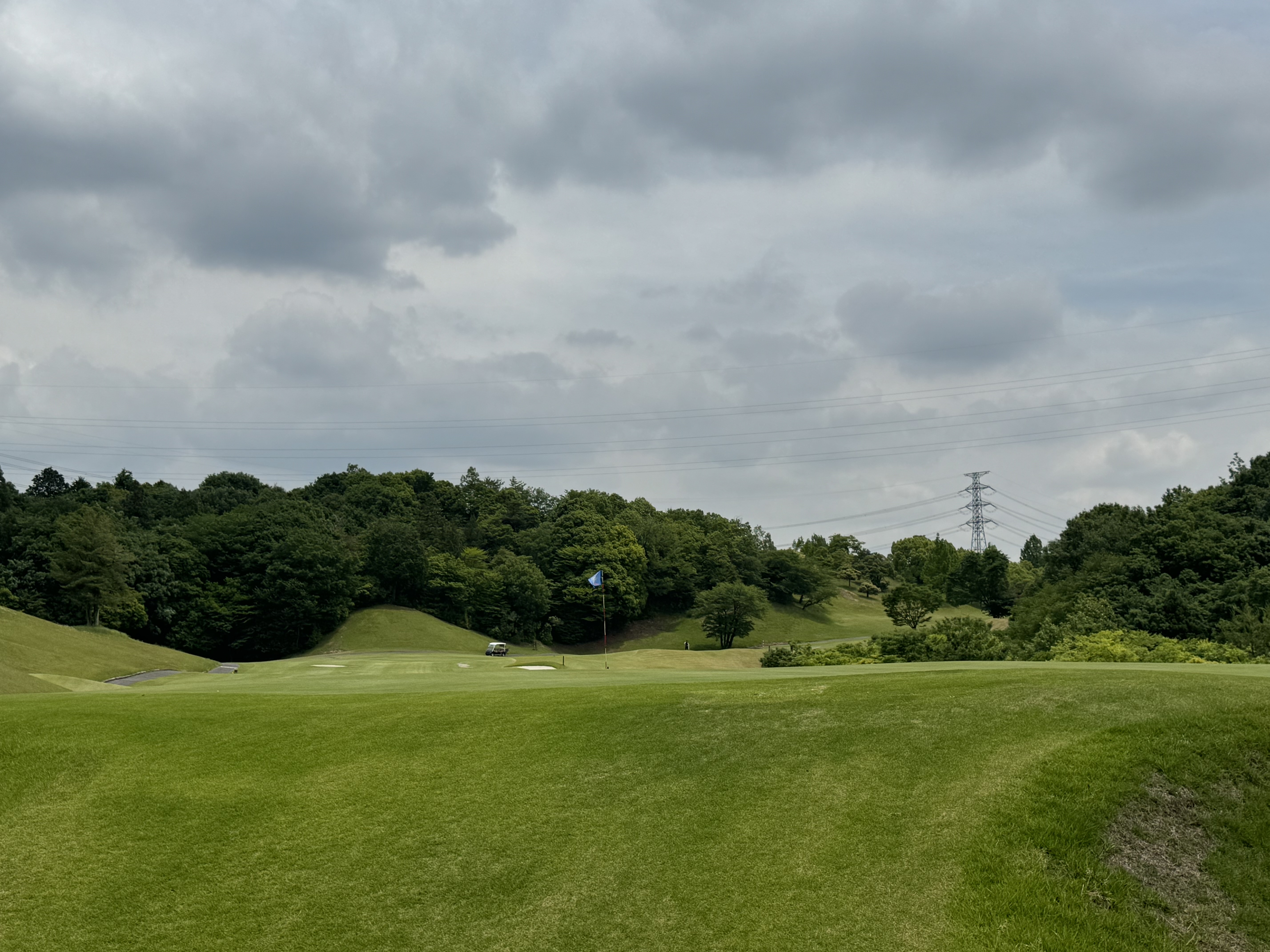 TOSHIN GC Central （トーシンGCセントラル） Courseを予約する｜GDO