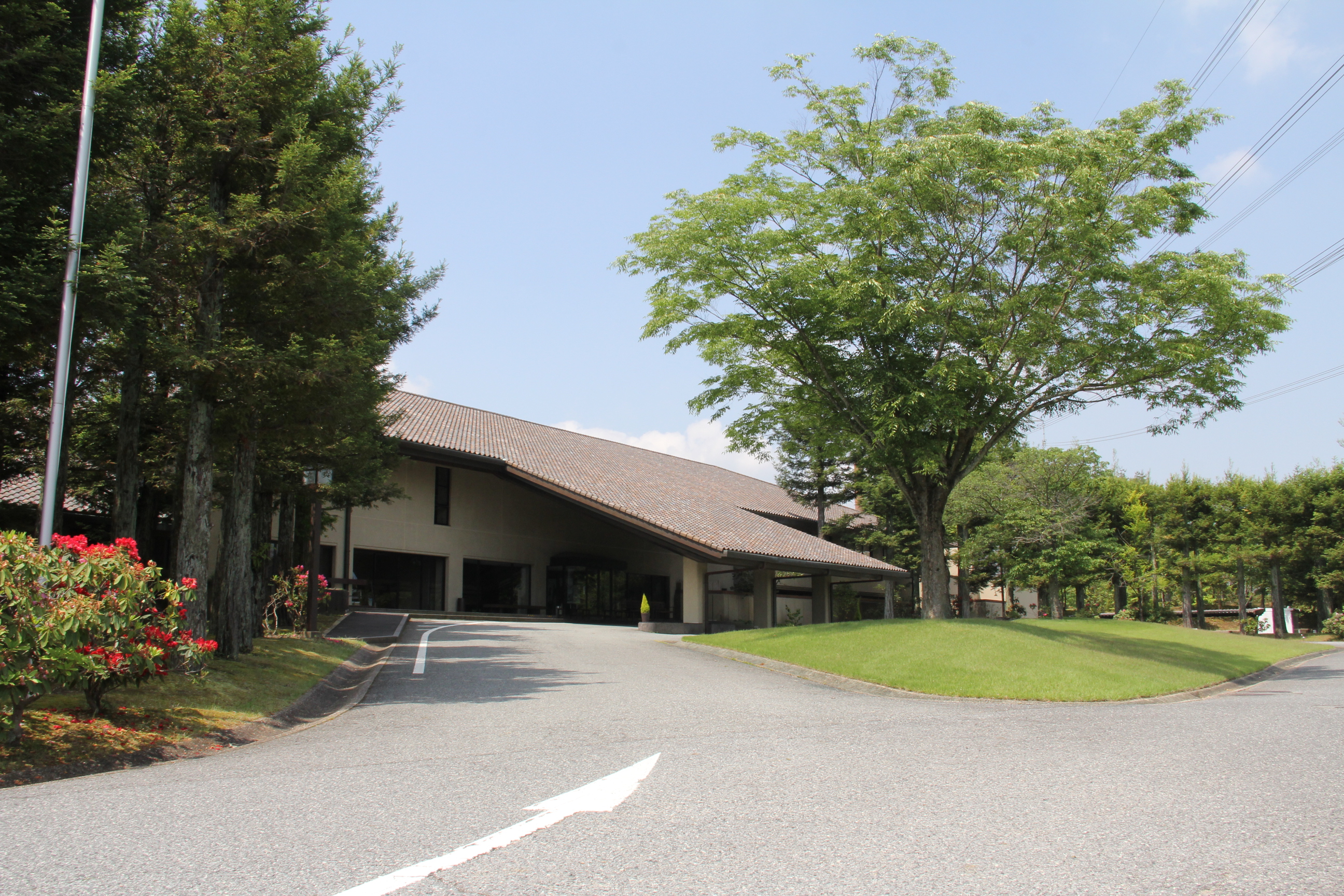 公の場での発言・インタビュー報道記録