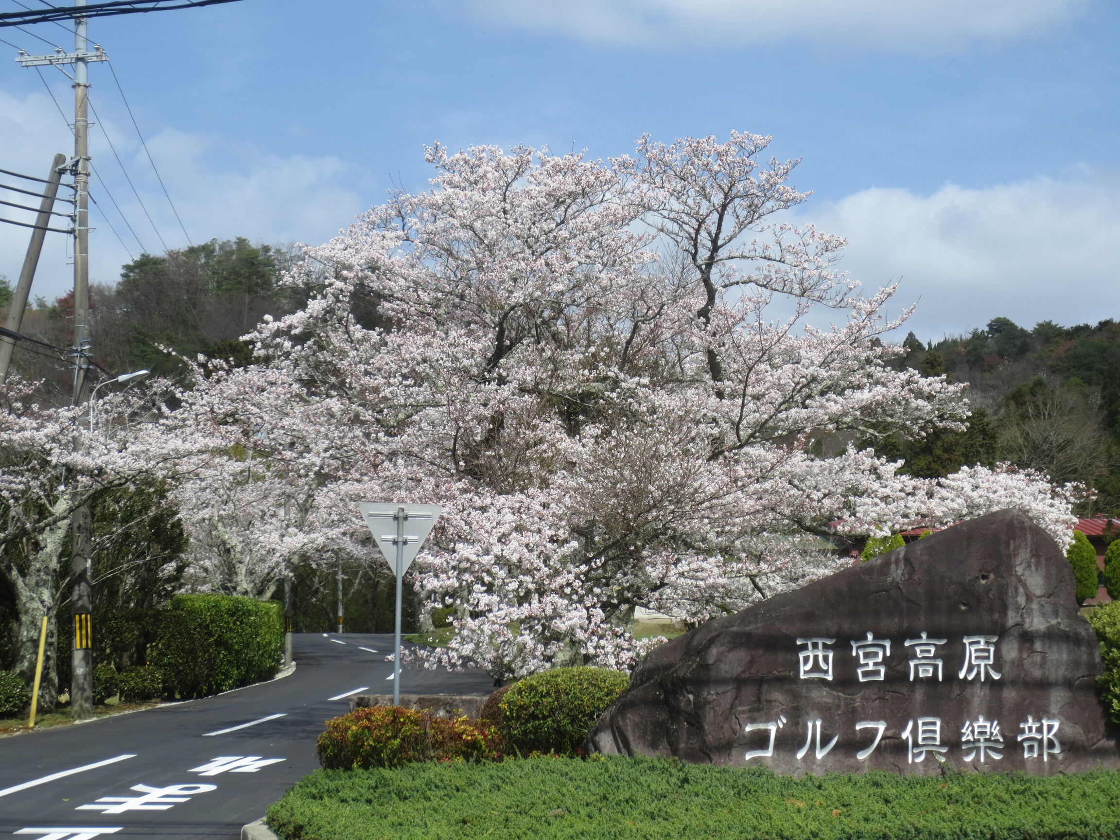 当時のメディア報道・掲載写真