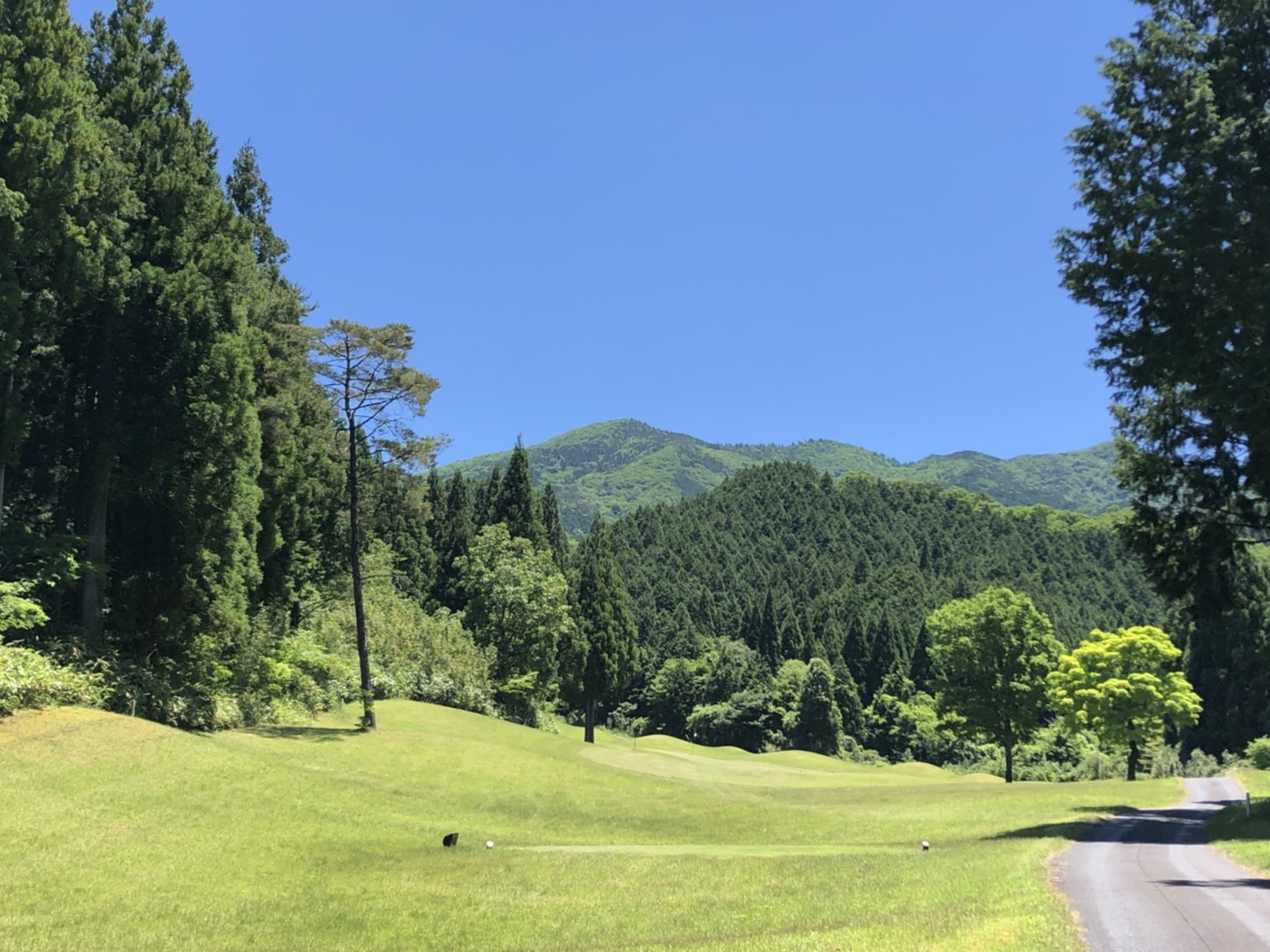 当時のメディア報道・掲載写真