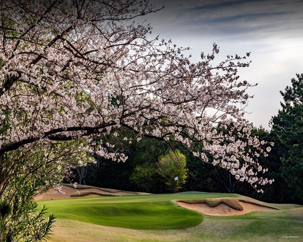 芥屋ゴルフ倶楽部 画像5