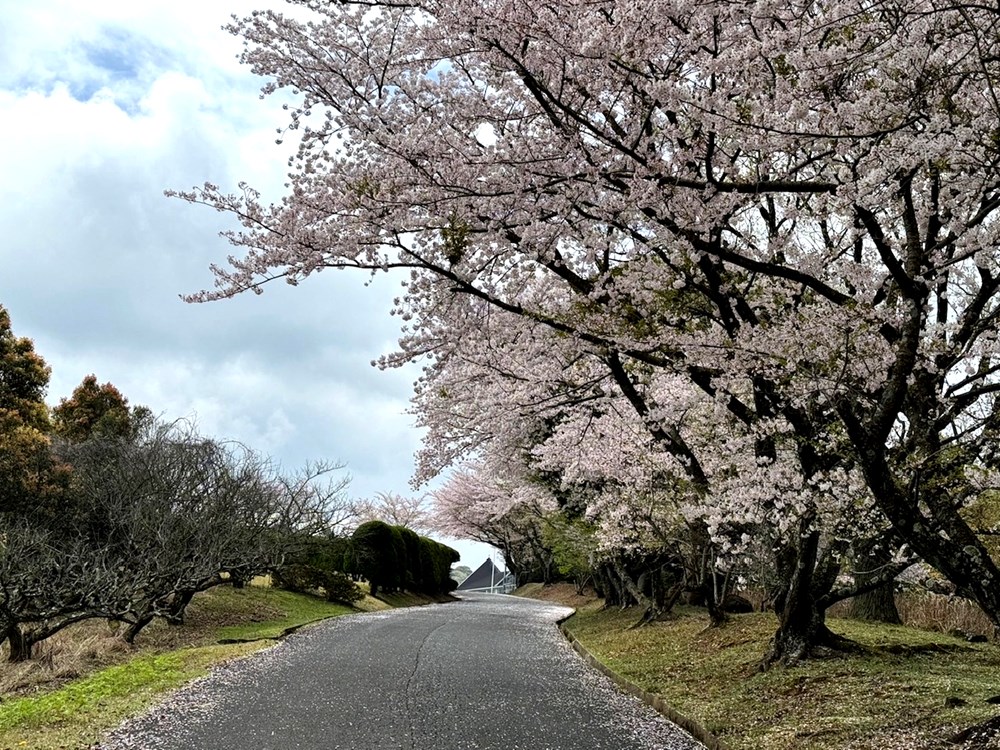 周防灘カントリークラブ 画像1