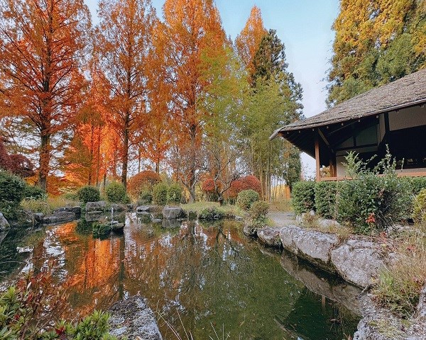 太宰府ゴルフ倶楽部 画像2