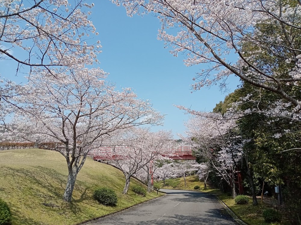 熊本クラウンゴルフ倶楽部 画像2