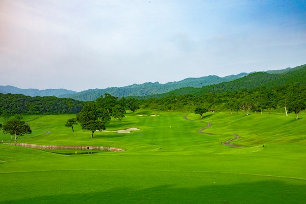 青島ゴルフ倶楽部【アコーディア】（宮崎県）