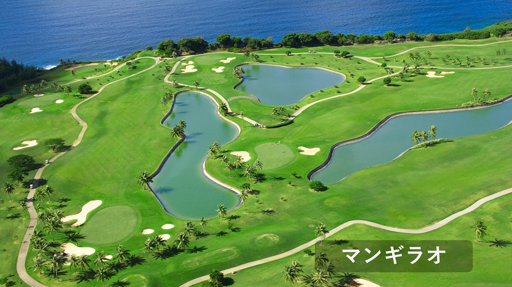 ソノフェリーチェCC マンギラオ・タロフォフォ 画像2