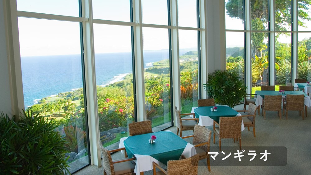 ソノフェリーチェCC マンギラオ・タロフォフォ 画像4