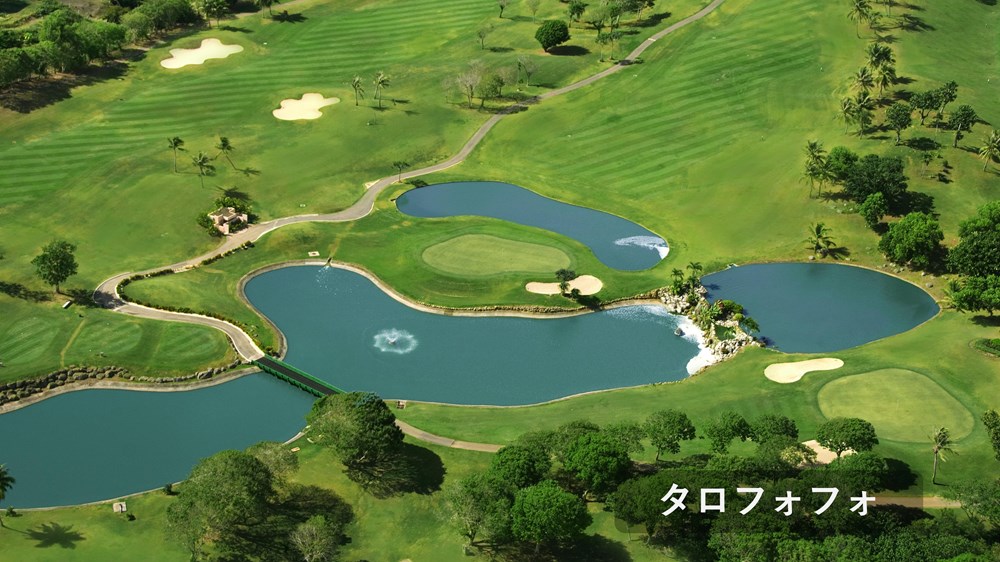 ソノフェリーチェCC マンギラオ・タロフォフォ 画像5