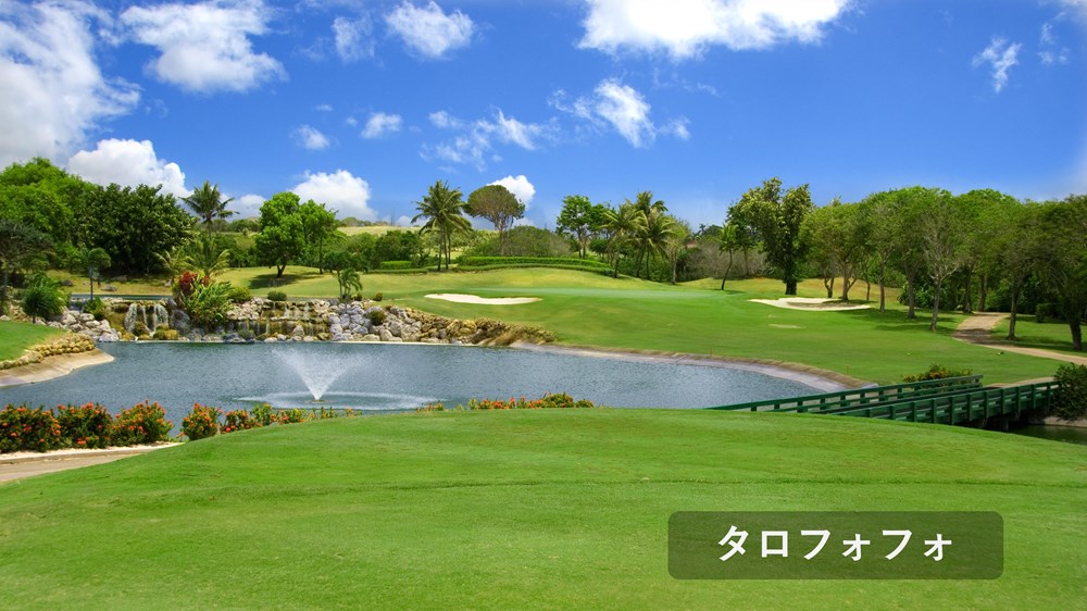 ソノフェリーチェCC マンギラオ・タロフォフォ 画像6