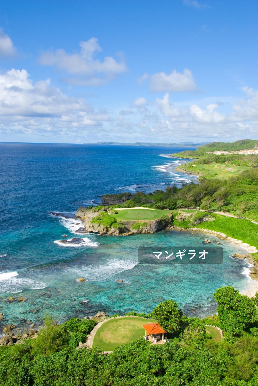 ソノフェリーチェCC マンギラオ・タロフォフォ 画像1