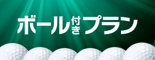 ボール付きプラン特集
