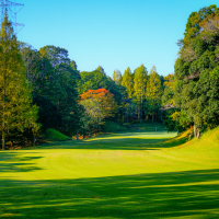 “食”を堪能したいなら間違いない2コース