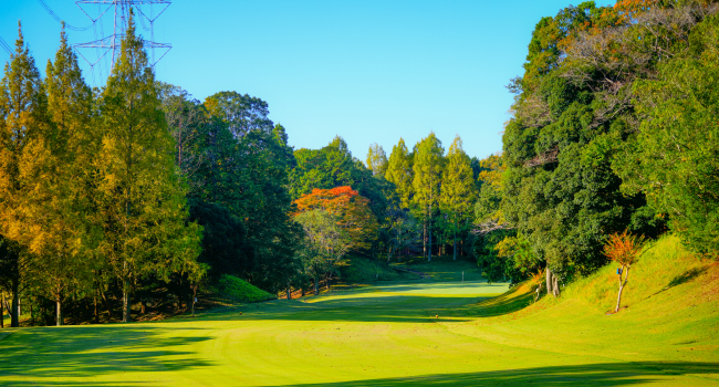“食”を堪能したいなら間違いない2コース
